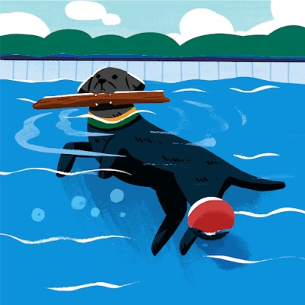 Meet your Posher, Kate